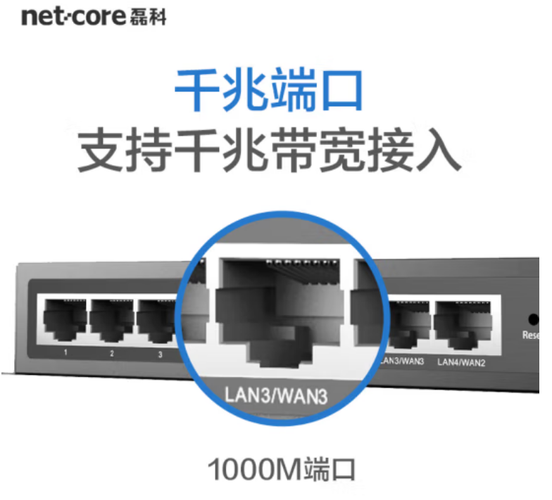 磊科NBR-1009GPE-9口AC千兆路由器