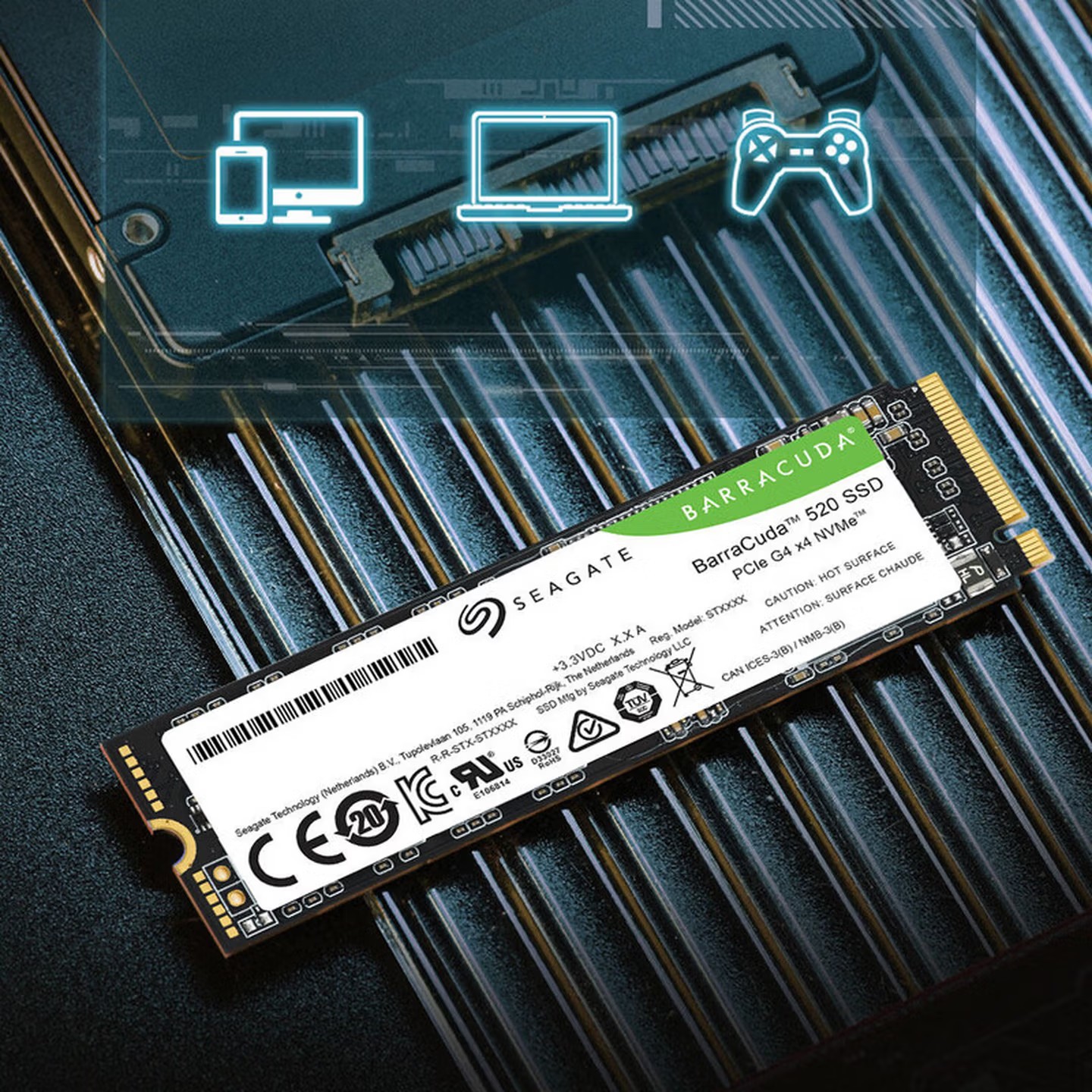 酷鱼PCIE 500G M.2 三年4.0